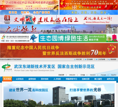 武汉东湖新技术开发区政务网