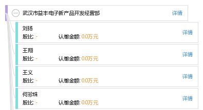 武汉市益丰电子新产品开发经营部