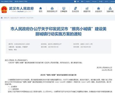 3年打造49个美丽城镇 武汉市“擦亮小城镇”行动方案发布