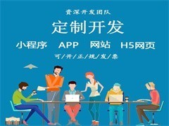 武汉网站推广