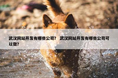 武汉网站开发有哪些公司? 武汉网站开发有哪些公司可以做?