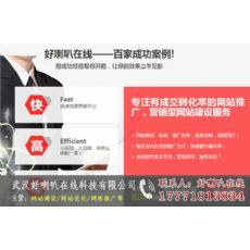 武汉做网站公司